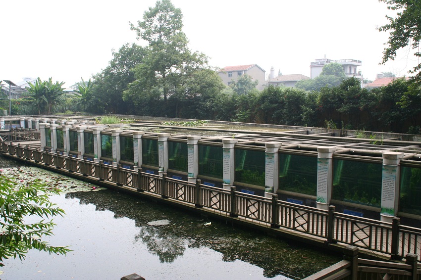 079-r 2010 Guangzhou China