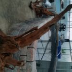 20150613_205114-R-150x150 Driftwood for your Pond