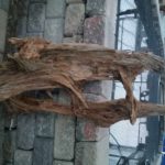 20150613_205218-R-150x150 Driftwood for your Pond