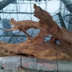 20150613_205306-R-150x150 Driftwood for your Pond