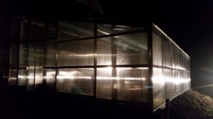 20160109_230539-R-300x168 Bergen Water Gardens Expands with Greenhouse for Carnivorous Plants