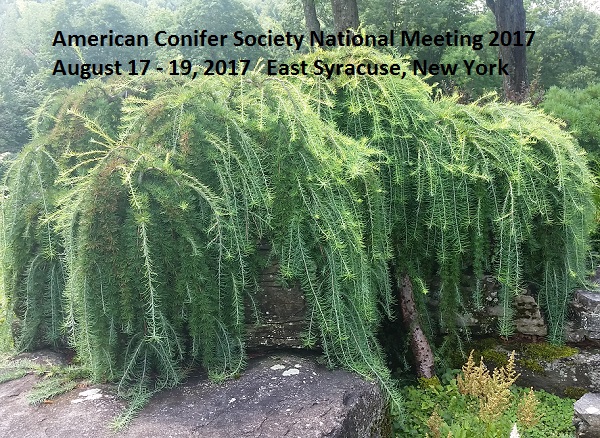 20160813_111959 American Conifer Society National Meeting