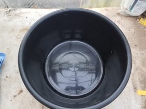 20170225_091152-R-300x225 How to Pot Lotus Tubers
