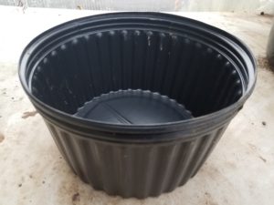 20170225_091405-R-300x225 How to Pot Lotus Tubers