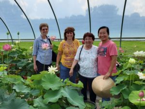 20190723_112518-r-300x225 Perry Garden Club at Lotus Paradise