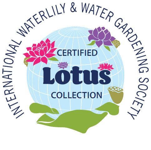 certified-iwgs-lotus-collection-logo-1 IWGS Certified Nelumbo Collection of Excellence