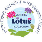 certified-iwgs-lotus-collection-logo-150x150 IWGS Certified Nelumbo Collection of Excellence