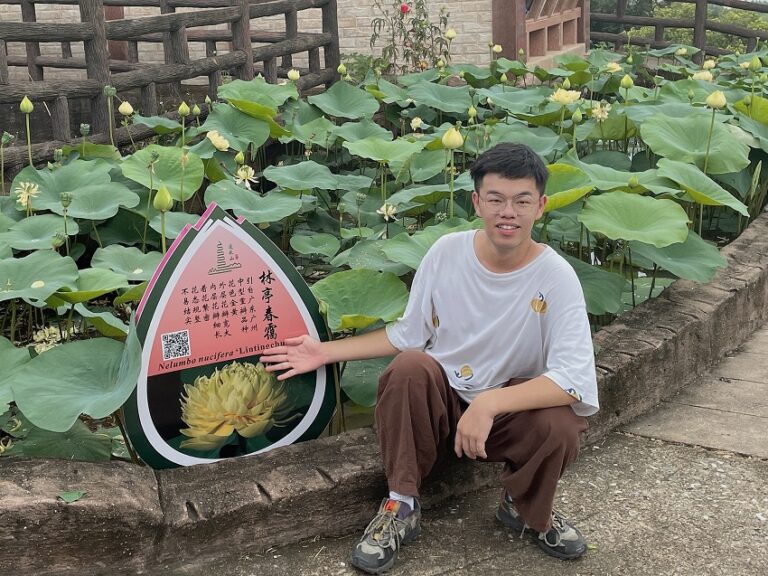 R-357373954_239182258901981_7100543669229769415_n-768x576 Introducing Mr. Weihua Lu and his beautiful Lotus and Waterlilies