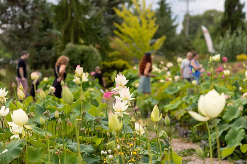 0-R-2 LotusFest 2025 ReCap 0-R-2 LotusFest 2025 ReCap