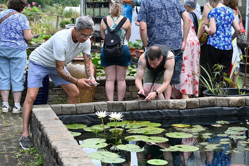 0-R-6-1 LotusFest 2025 ReCap 0-R-6-1 LotusFest 2025 ReCap