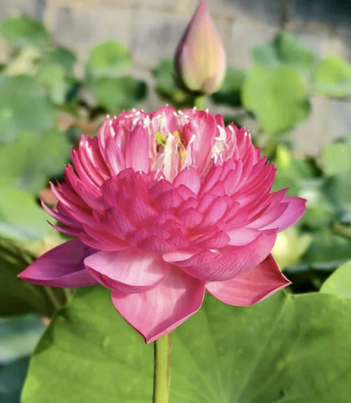 096f06f936f90f8e626c4232f48c115e Home