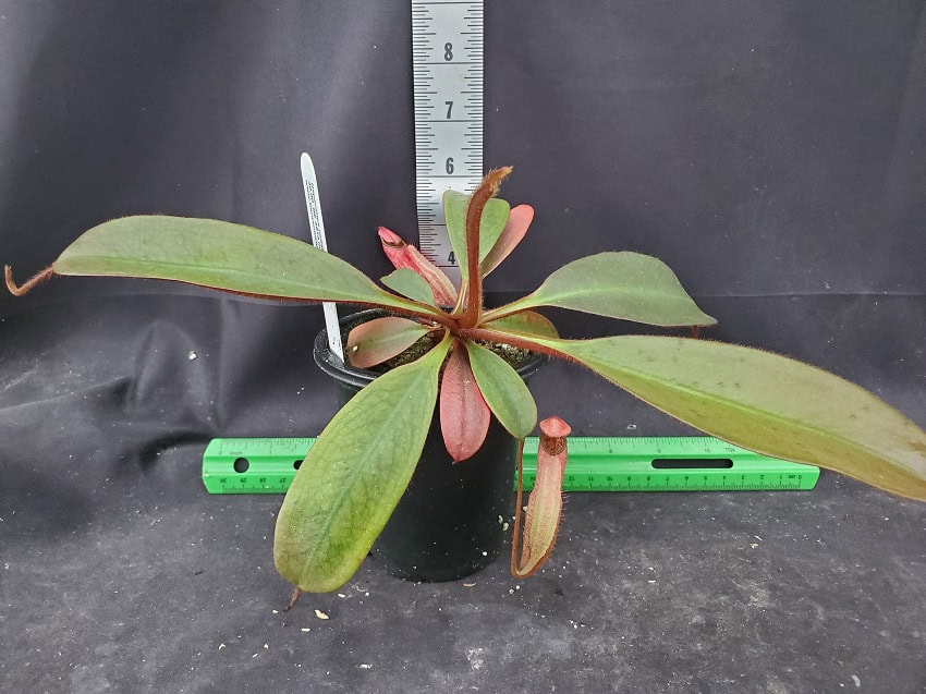 20251116_145748-R Home