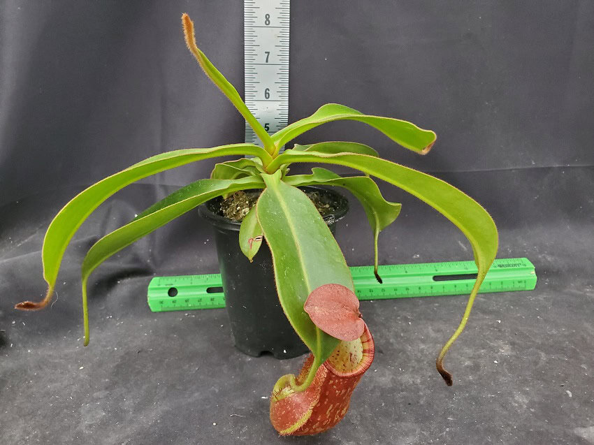 20251116_151442-R Home