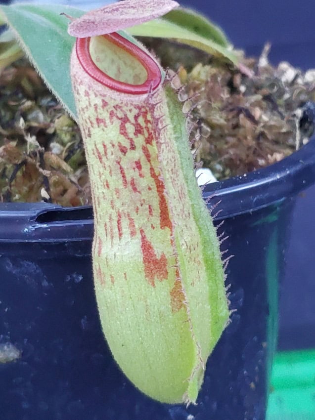 20251118_161943-R Home