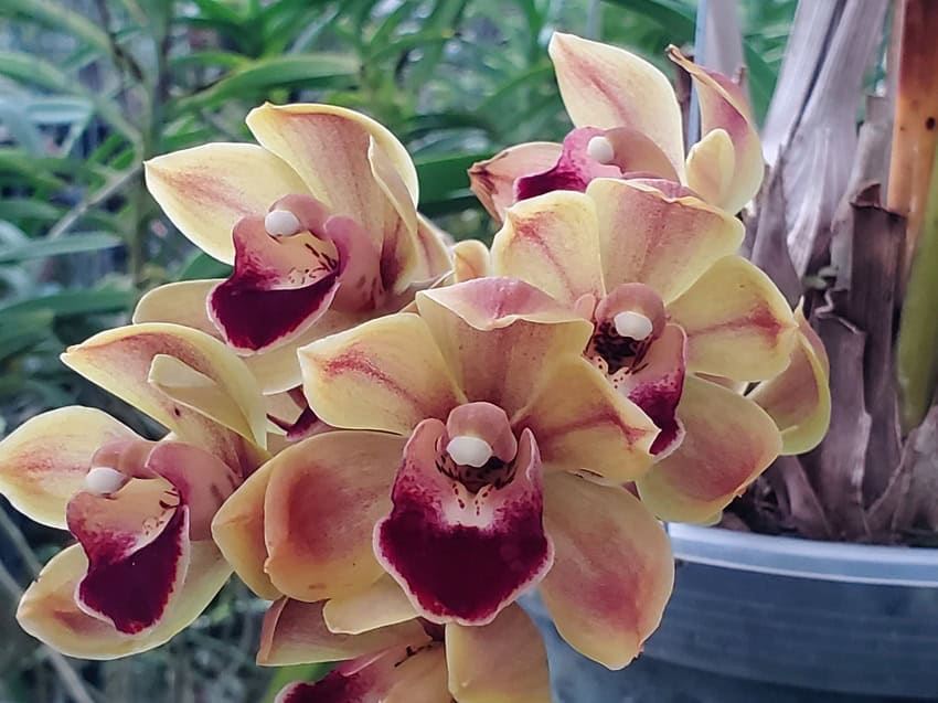 20260125_124039 Home 20260125_124039 Home