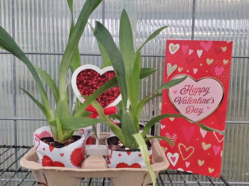 20260123_163107-R Home 20260123_163107-R Home